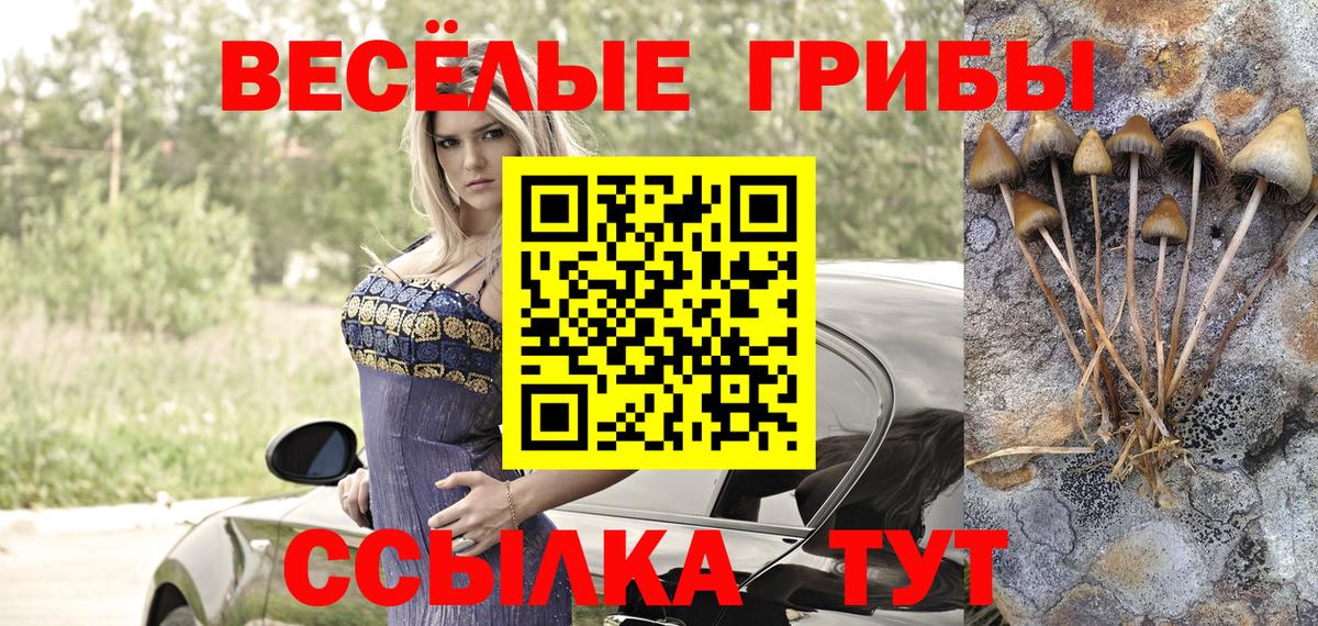 Балашиха  Псилоцибиновые грибы ЛСД  Вход с VPN 